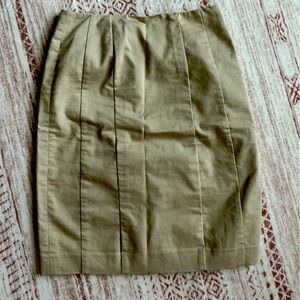 Ann Taylor skirt